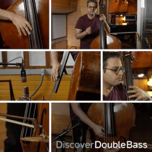 double bass online course