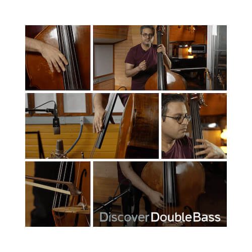 double bass online course